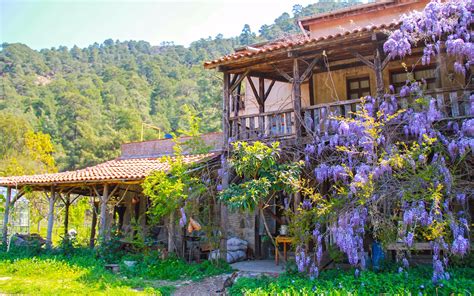 Doğa ile İç İçe Bir Yaşamın Önemi