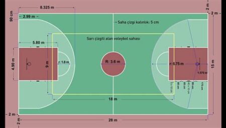 Basketbol Sahası Ölçüleri ve Düzgün Bakımı