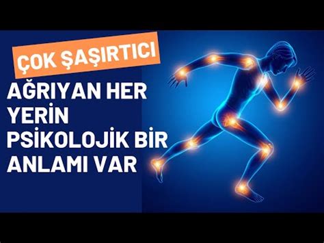 Kardiyo Antrenmanlarının Zihinsel Sağlık Üzerindeki Olumlu Etkileri